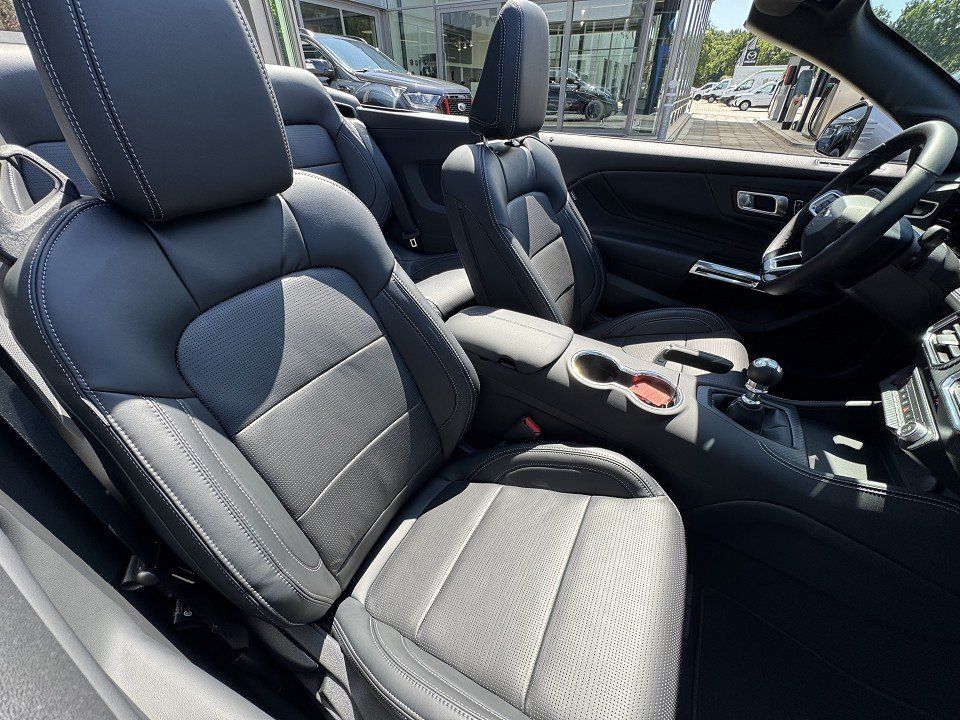 Fahrzeugabbildung Ford Mustang 5,0 V8 GT Convertible