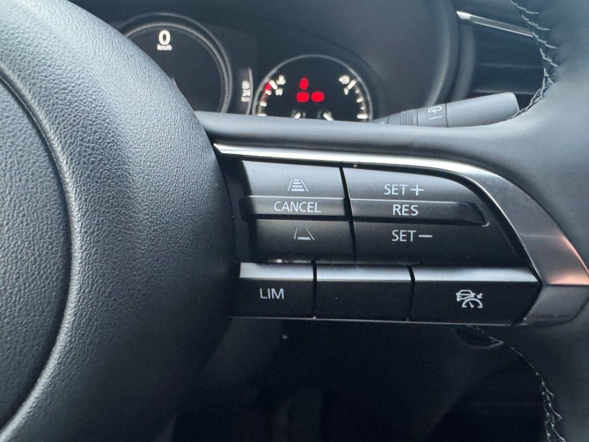 Fahrzeugabbildung Mazda CX-30 2.5L e-SKYACTIV G 140ps 6AT FWD Homura