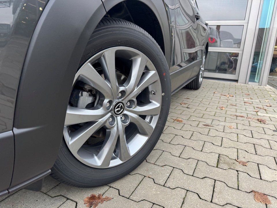 Fahrzeugabbildung Mazda CX-30 2.5L e-SKYACTIV G 140ps FWD Exclusive-Line