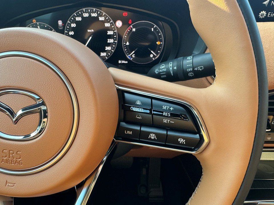 Fahrzeugabbildung Mazda CX-60 3.3L e-SKYACTIV D 254PS Homura Plus