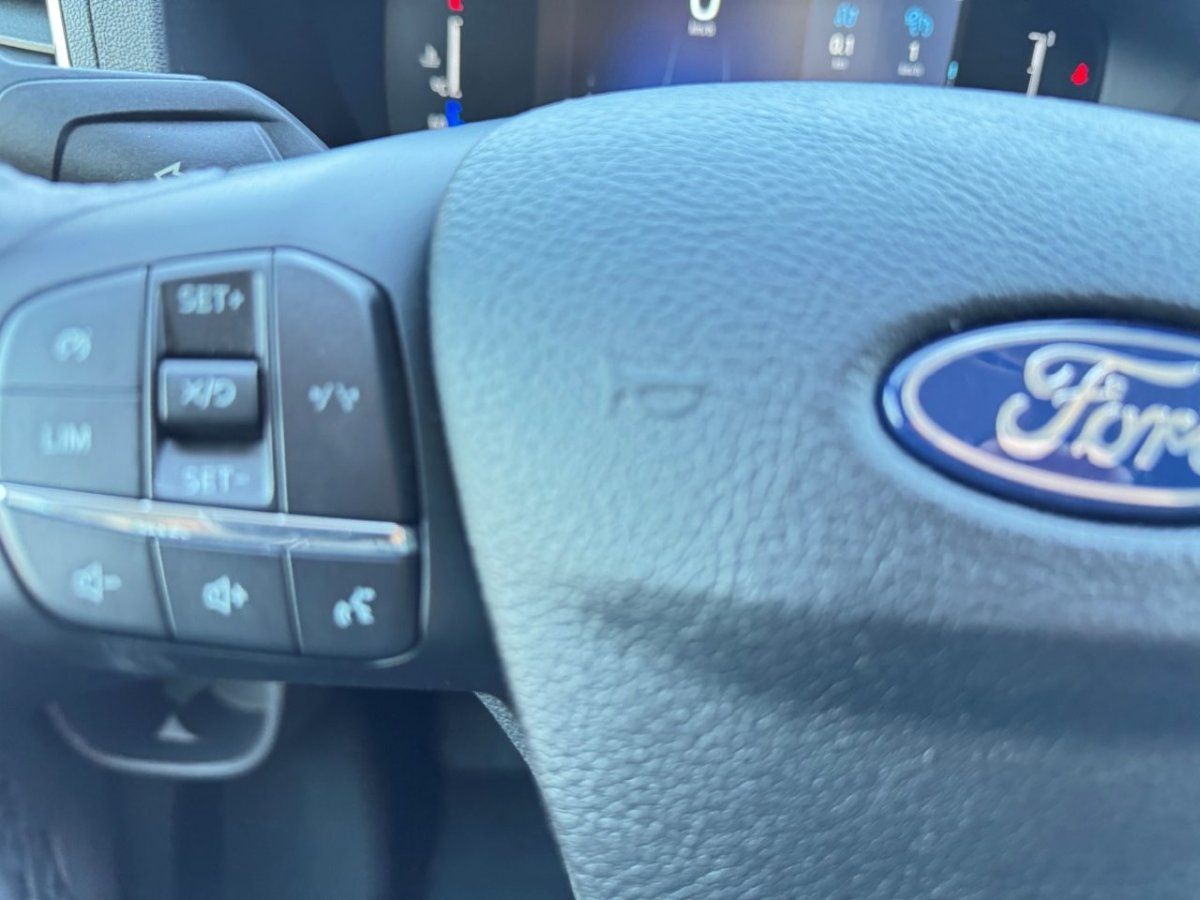 Fahrzeugabbildung Ford Transit 2,0 Ecoblue 350 L3 Doppelkabine Pritsche