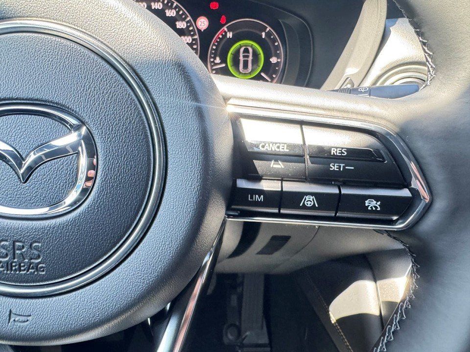 Fahrzeugabbildung Mazda CX-60 3.3L e-SKYACTIV D 254PS Homura