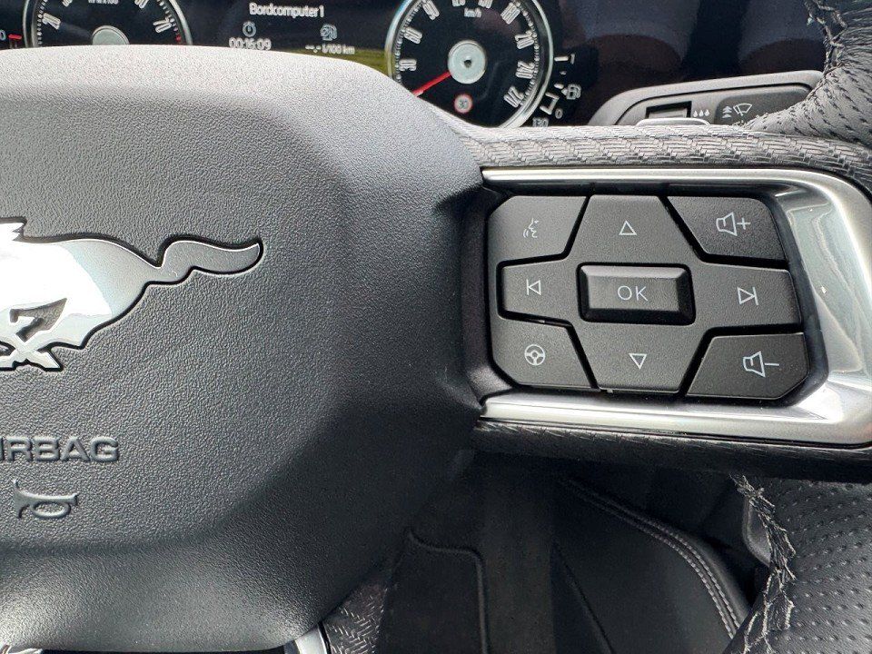 Fahrzeugabbildung Ford Mustang 5,0 V8 GT Fastback Automatik (2024)