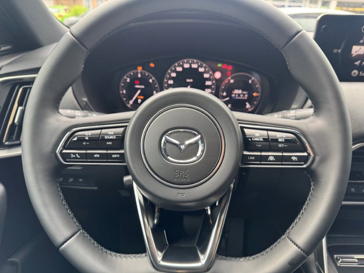 Fahrzeugabbildung Mazda CX-60 3.3L e-SKYACTIV D 254PS Homura Plus