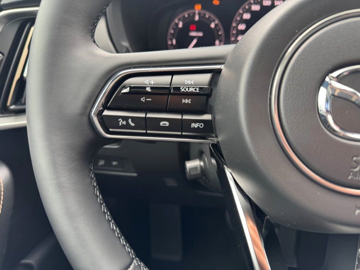 Fahrzeugabbildung Mazda CX-60 3.3L e-SKYACTIV D 254PS Homura Plus