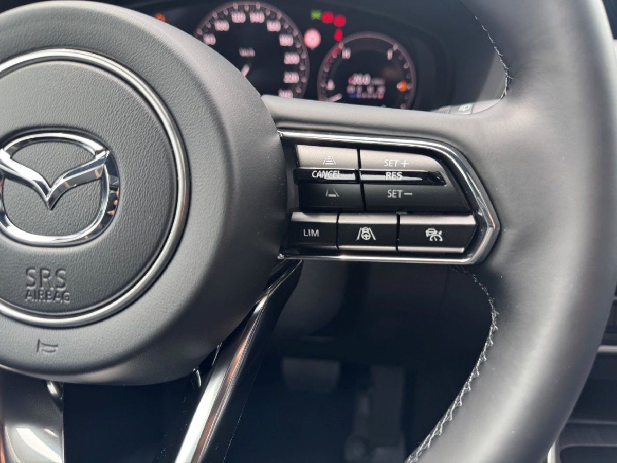 Fahrzeugabbildung Mazda CX-60 3.3L e-SKYACTIV D 254PS Homura Plus