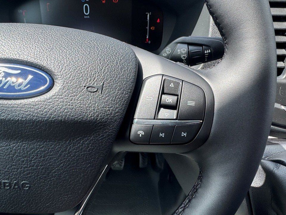 Fahrzeugabbildung Ford Transit 2.0 Ecoblue 350L3 Kasten Trend